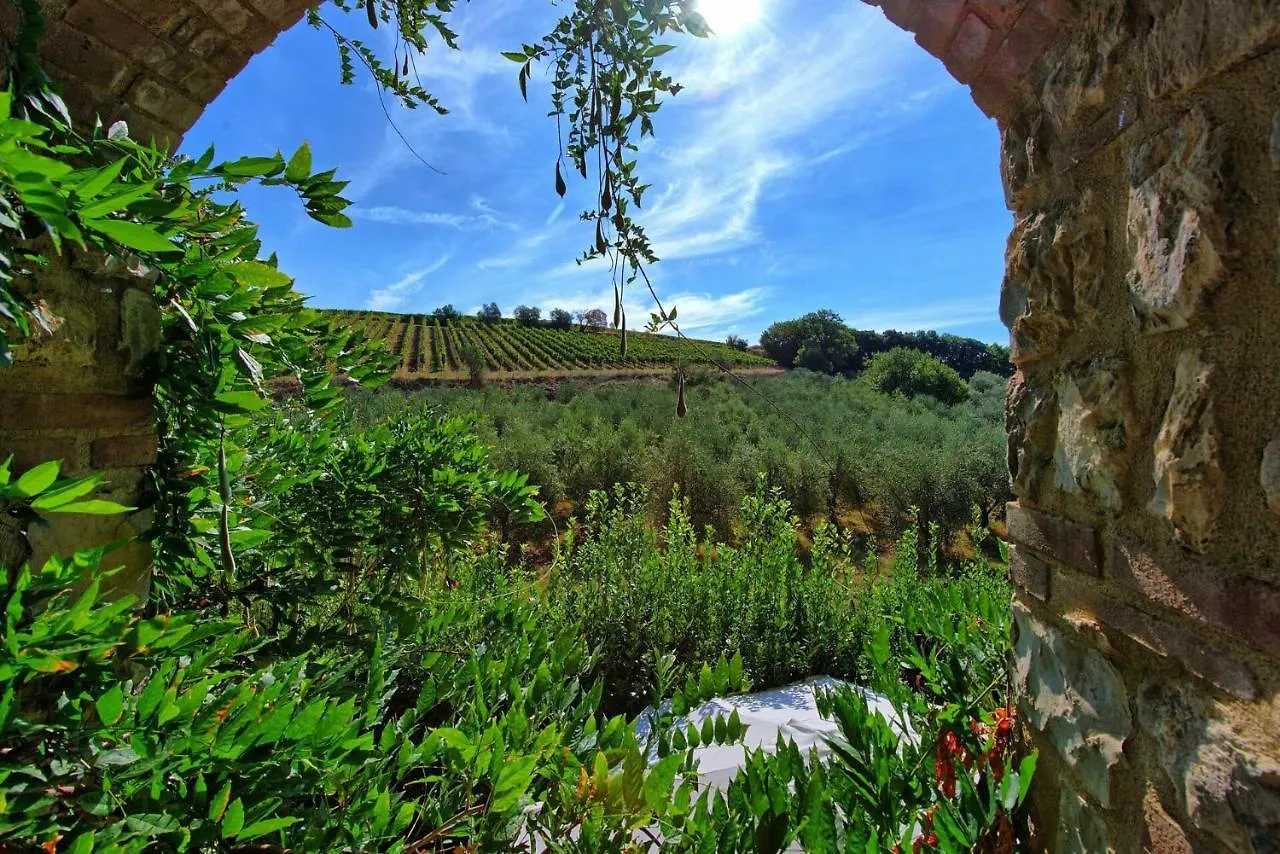 Casa Maria Luisa By Posarellivillas San Gusme 0*,